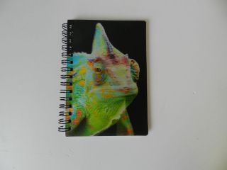 Obrázek z Notes 3D 9x13cm - chameleon 